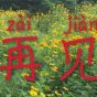 挥手，珍重