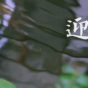 蝶去无声